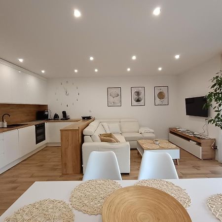 Apartament Przy Kopalni Srebra Тарновськє-Гури Екстер'єр фото