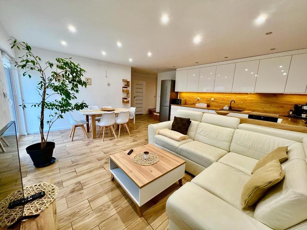 Apartament Przy Kopalni Srebra Тарновськє-Гури Екстер'єр фото