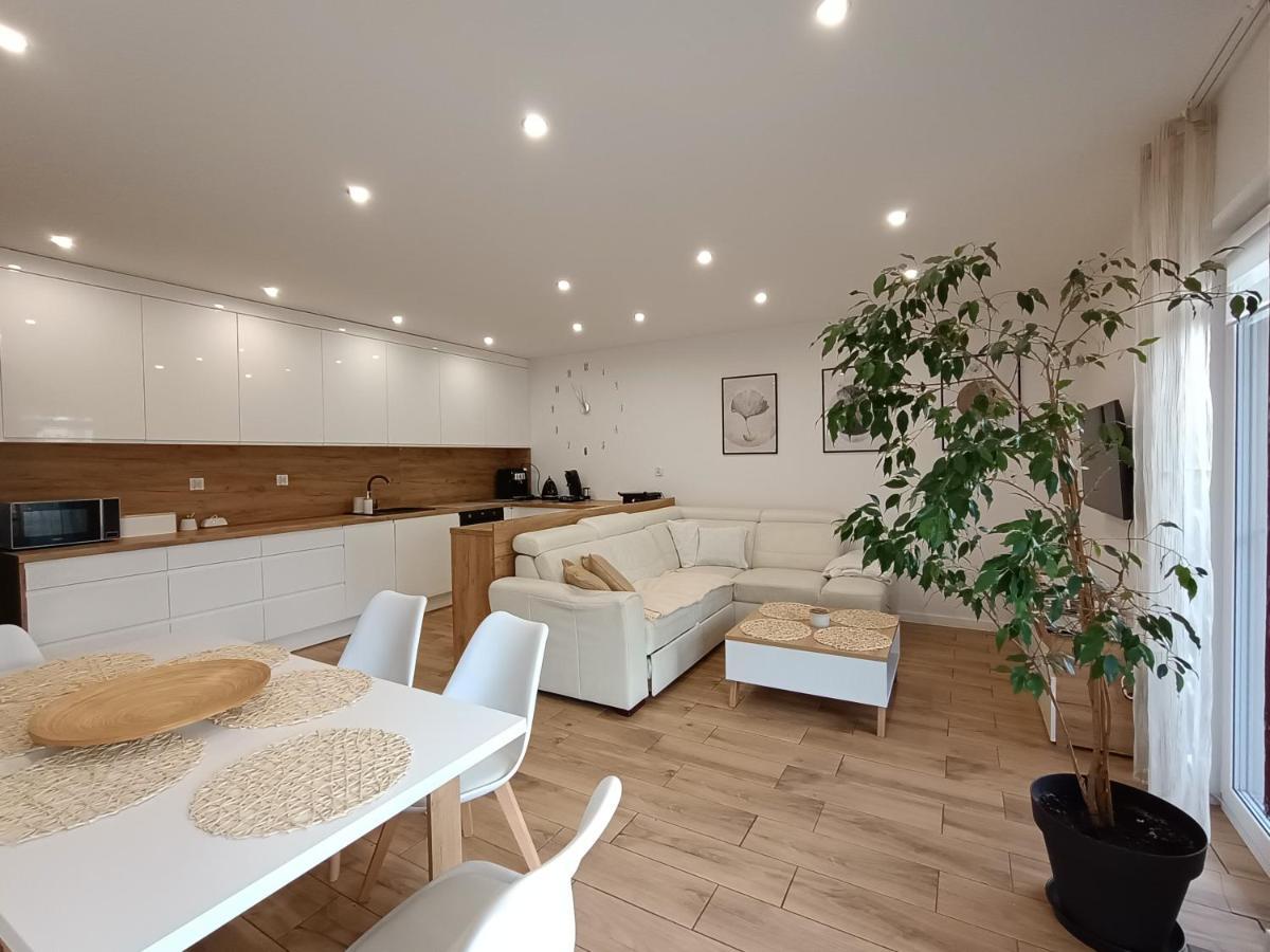 Apartament Przy Kopalni Srebra Тарновськє-Гури Екстер'єр фото
