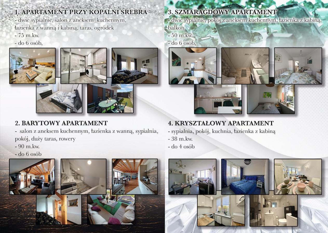 Apartament Przy Kopalni Srebra Тарновськє-Гури Екстер'єр фото